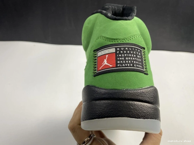 Rep Ducks CK6631-307 Oregon Jordan 5 SE Air 0731